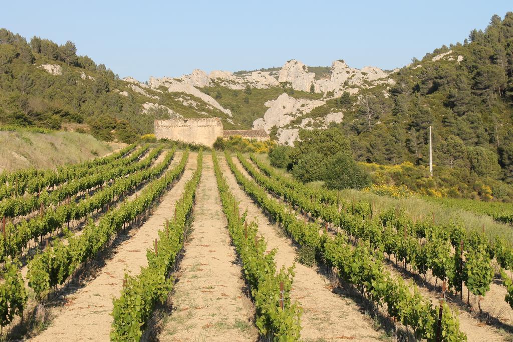 La Montagute Villa Thezan-des-Corbieres Екстериор снимка