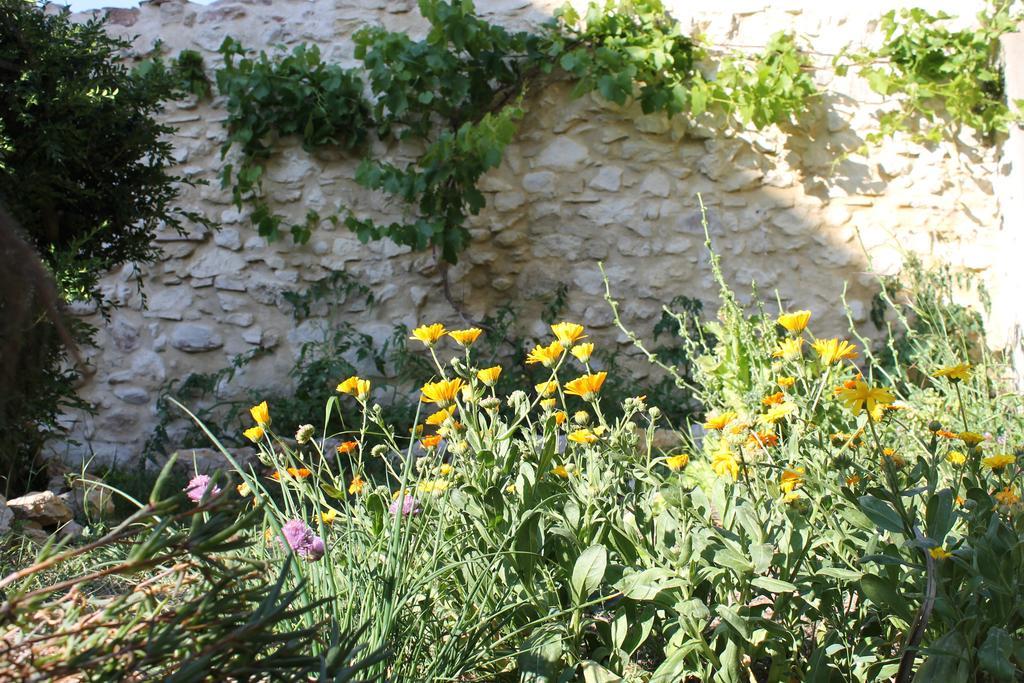 La Montagute Villa Thezan-des-Corbieres Екстериор снимка