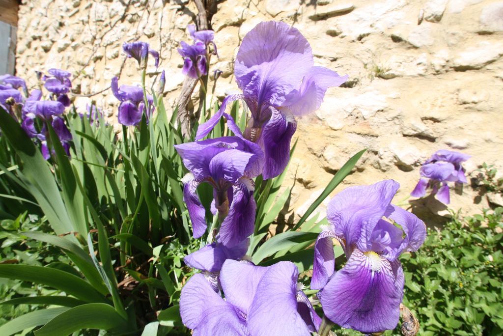 La Montagute Villa Thezan-des-Corbieres Екстериор снимка